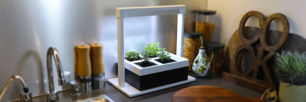 Elevate Your Urban Garden Oasis